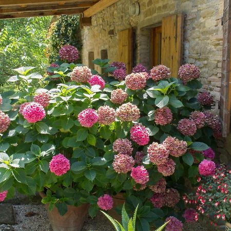 Casa La Valle, Gubbio, Frazione Santa Cristina Bed & Breakfast Exterior photo