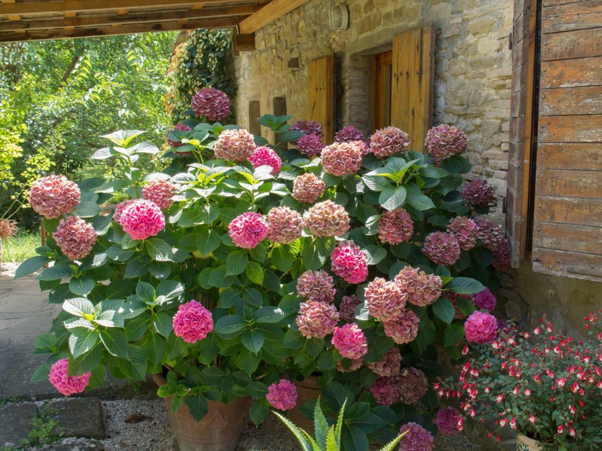 Casa La Valle, Gubbio, Frazione Santa Cristina Bed & Breakfast Exterior photo